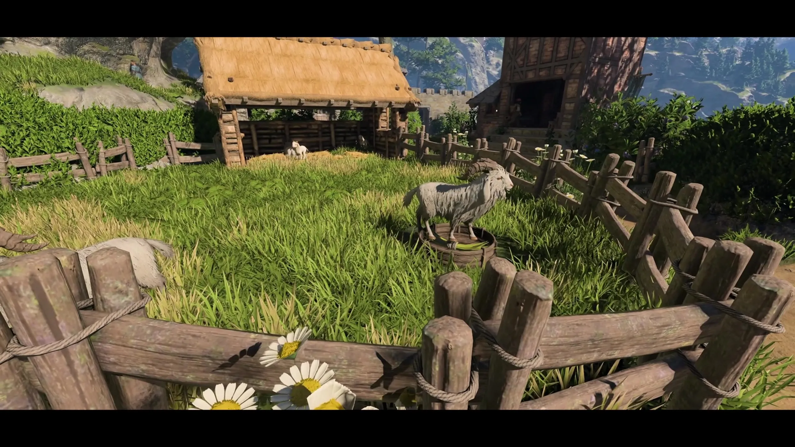 Farm animals add more live to our base!