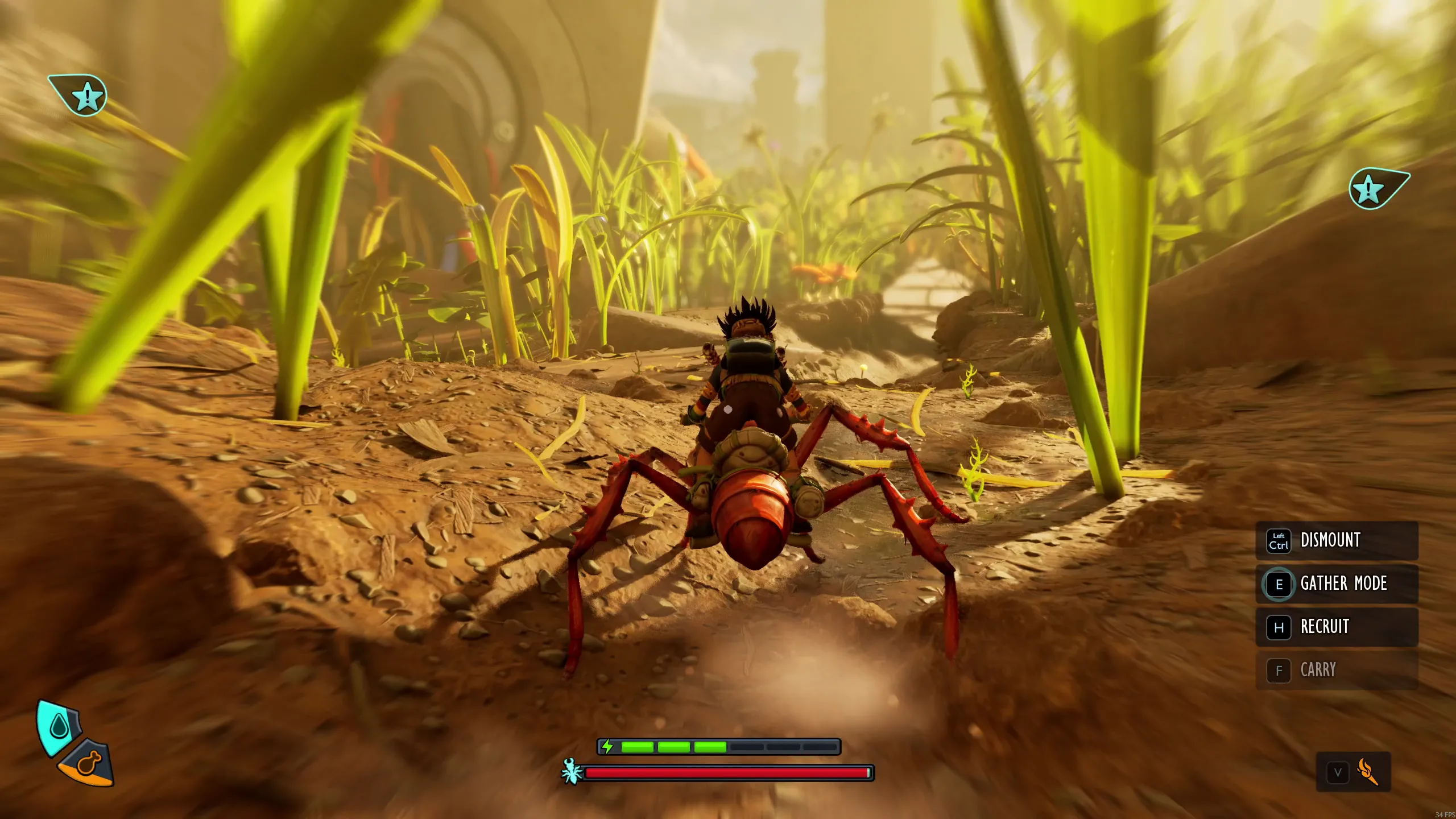 Buggies - the Best Kind of Bugs! Buggies - the Best Kind of Bugs!