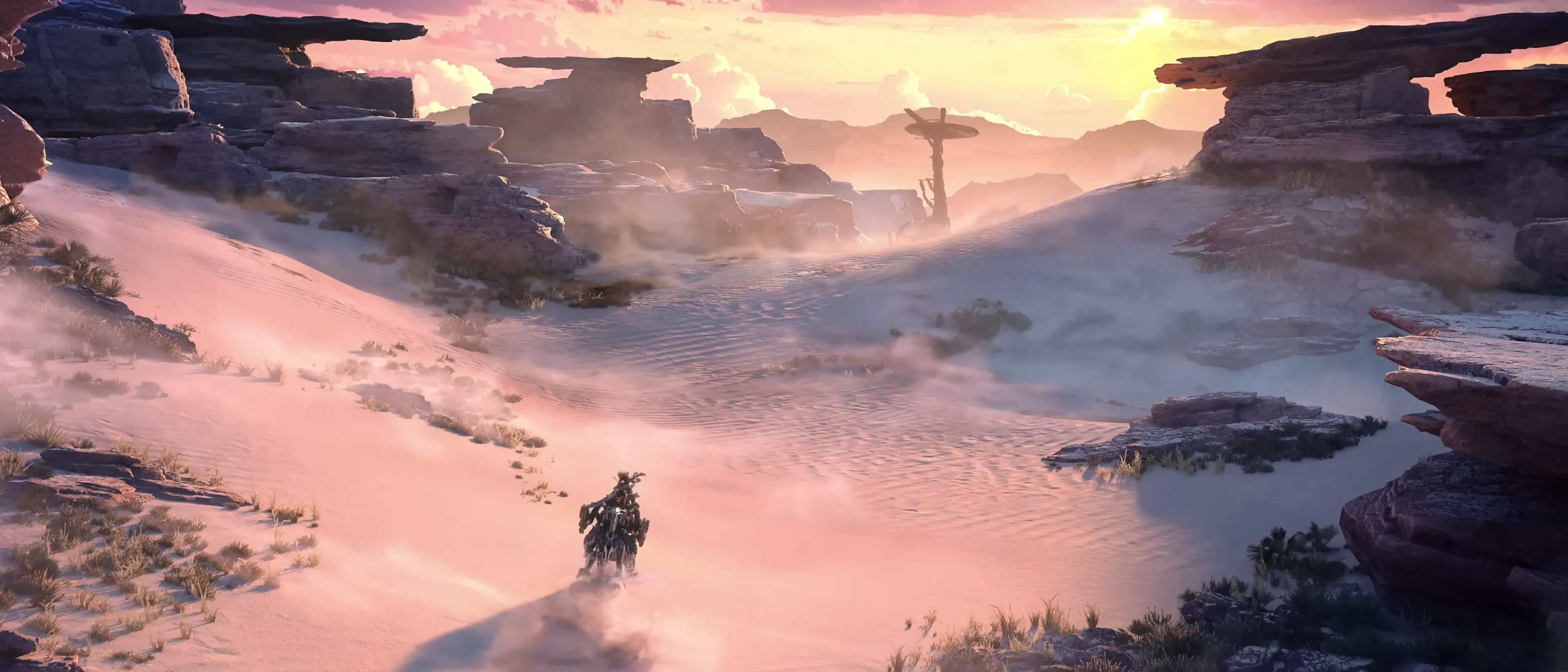 Typical Arizona Desert - With Tallnecks